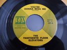 The Thirteenth Floor Elevators - You're Gonna Miss Me 1967 USA 45 IA PSYCH