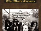 THE BLACK CROWES SOUTHERN HARMONY AND MUSICAL COMPANION NEW LP
