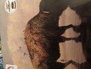 Silverstein - This Is How The Wind Shifts Vinyl, LP, Album, Reissue, Repress, Go