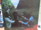 THE SOFT BOYS U.K. RECORD 