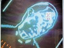 The Rolling Stones - Emotional Rescue - 1980 Vinyl LP Record - SEALED w/ Poster