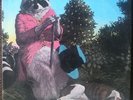 J.J. Cale Naturally 1971 1st Press VG++ Vinyl