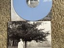 Taylor Swift Folklore Hide and Seek Folklore Vinyl + 1989 Green & Pink Vinyl