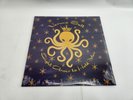 Veruca Salt Eight arms to hold you Vinyl - New Sealed
