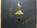 THE KILLS Ash & Ice 2-LP SIGNED/AUTOGRAPHED Alison Mosshart & Jamie Hince