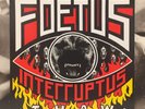 Foetus Interruptus - Thaw LP + Insert Ex- 1988 Ger Rough Trade Rtd 81