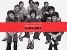Blood, Sweat & Tears/Bloodlines - 200G 8LP 45RPM Analogue Productions