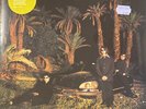 Echo & The Bunnymen - Evergreen Vinyl, LP, Album, Limited Edition, Reissue, Rema