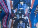 LP  Picture Disc The Beatles - Hollywood Bowl