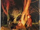 Echo and the Bunnymen Crocodiles Vinyl LP Sire 1980
