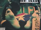 Ice Cube-Death Certificate  Priority Records Vinyl LP 1991 OG Copy