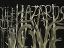 The Decemberists - The Hazards Of Love (NEW VINYL LP)