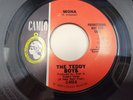 THE TEDDY BOYS Mona / Good Morning Blues 1966 Garage CLEAN  7