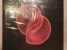 Peter Gabriel SCRATCH MY BACK Vinyl LP Sealed Mint