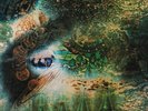 Pink Floyd - A Saucerful Of Secrets Vinyl, LP, Album, Reissue, Remastered, Stere
