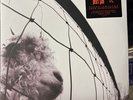 Pearl Jam Vs. (Vinyl) 30th Anniversary  12
