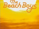 The Beach Boys “Sounds Of Summer” (6LP Box Set) *NEW+SEALED* *LTD* *GREAT PRICE*