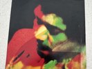 Jimi Hendrix Band Of Gypsys 2 LP Capitol Records 1986 Mid 166073
