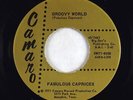 Funk Breaks/Sweet Soul 45 - Fabulous Caprices - Groovy World - Camaro - VG++