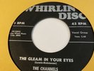 THE CHANNELS The Gleam In Your Eyes/Stars In The Sky Whirlin Disc 102