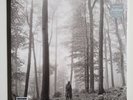TAYLOR SWIFT 2 LP - Folklore 