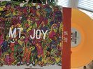 Mt. JoyHAND-SIGNED SLEEVE &  COLORED VINYL NM  ORANGE BLOOD LP AUTOGRAPHED
