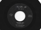 GARAGE FUZZ 45 - the KOLLEKTION  - SAVAGE LOST - HEAR -1967 MIAMI FL.  HEADS UP