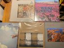 Jonathan Wilson Westkust Winter Gloves Yung Wu Wild Billy Childish LP Prog Punk