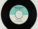 Northern Soul Acetate 45 - Little Willie - Bye-Bye Baby - Edgewood - unreleased?