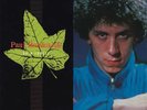 Paul Hardcastle Rain Forest Vinyl Single 12inch NEAR MINT Bluebird