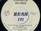 Private VA Bluegrass Bopper Hook 45 FALLING BRANCH BOYS Blue Ridge VIAVALLA hear