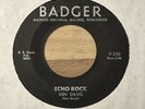 Ken Davis Shook Shake & Echo Rock Badger 250  GREAT Wisconsin rocker 45 record