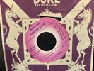 Rare 45 R&B boogaloo w/ DUKE sleeve BUDDY ACE promo WHAT CAN I DO screaming