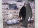 Crystal Castles II 2x LP Vinyl Import Rare SEALED Brand New Record