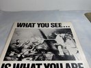 Alternative TV What You See Is What You Are Vinyl Lp
