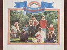 The Beach Boys “Sunflower” Original 1970 Vinyl Record Album LP