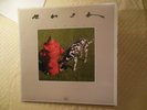 Rush - Signals Record Vinyl LP 1982- Mercury SRM-1-4063 NM/EX see pics