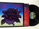 THIN LIZZY black rose LP VG+/EX-, 9102 032, vinyl, album, with inner, uk, 1979