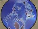 MADONNA Erotica Vinyle LP Picture Disc NEUF