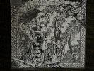 Rock N Roll Conformity by Deviated Instinct (Record, 2019).   Sealed. New.