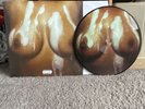 DANIEL SON & FINN Dirty Dishes Picture Disc Vinyl LP /50 Pic Rome Streetz Royale