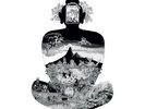 Flower Travellin' Band Satori (Vinyl) 12