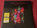 Foo Fighters - Wasting Light, 2 x Vinyl 12