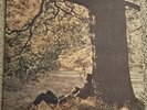 JOHN LENNON - PLASTIC ONO BAND - 1977 EX Japan Vinyl LP EAS-80704