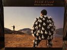 Pink Floyd -Delicate Sound Of Thunder  (Record, 2017) Vinyl LP