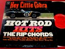 The Rip Chords  