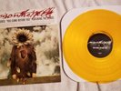 Poison the Well You Come Before You LP Trustkill