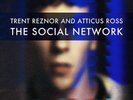 THE SOCIAL NETWORK 2020 DEFINITIVE EDITION 2XLP Trent Reznor Nine Inch Nails