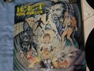 Ice T - Home Invasion. (Double Hip Hop Vinyl Lp, 1993)
