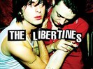 The Libertines The Libertines Records & LPs New
